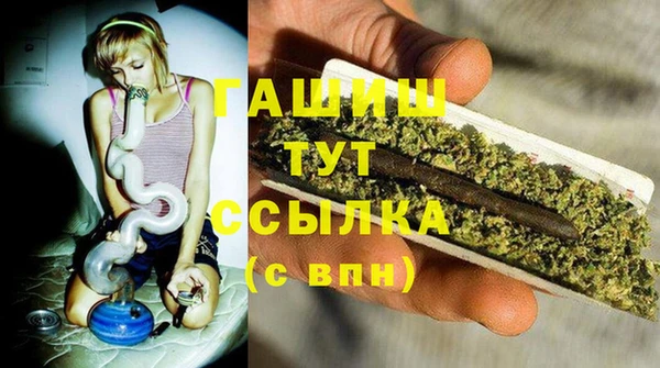 твердый Володарск