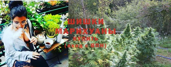твердый Володарск