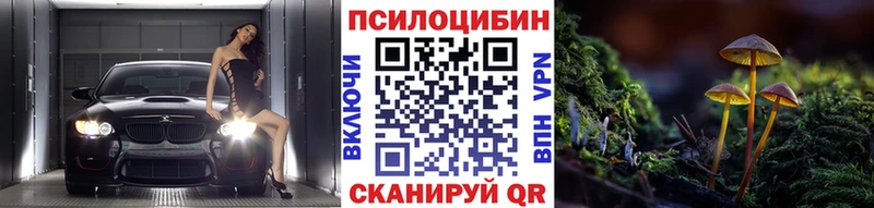 Псилоцибиновые грибы мицелий  где можно купить   OMG ONION  Железногорск 